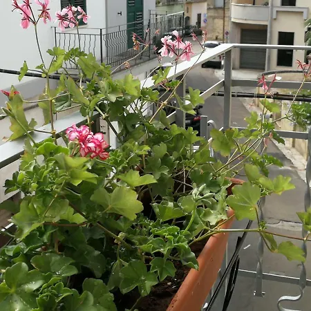Holiday home Casa Vacanze Santa Marina *